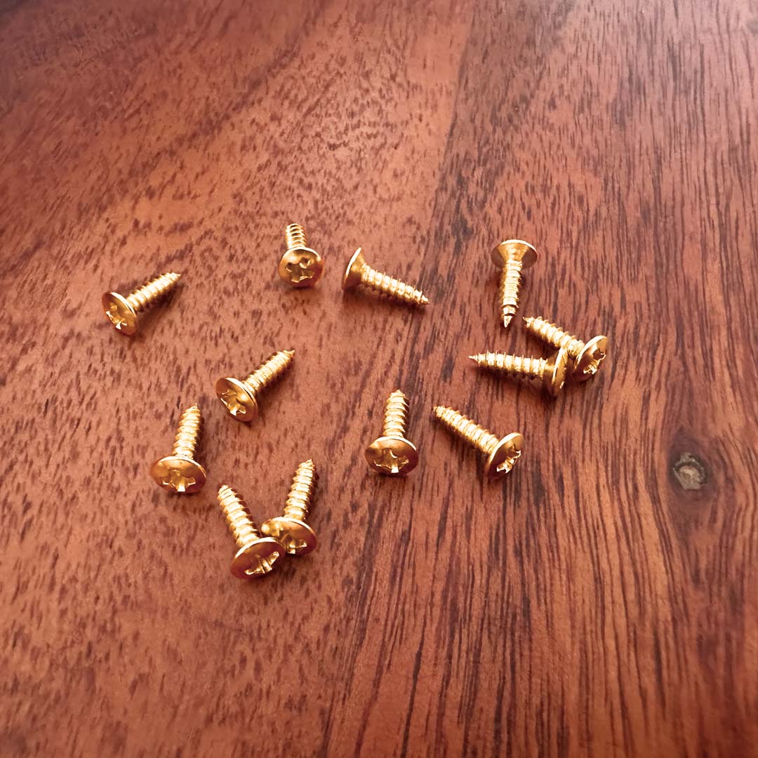 12 Pickguard Screws